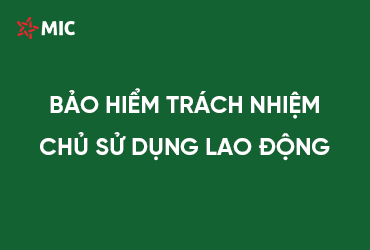 BẢO HIỂM TRÁCH NHIỆM CHỦ SỬ DỤNG LAO ĐỘNG